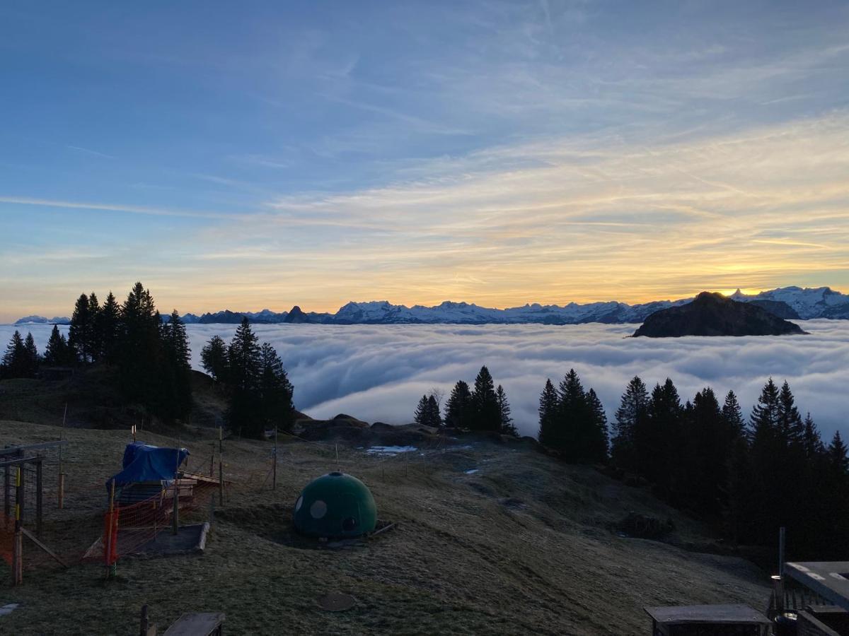 Rigi-Burggeist Alpine Guesthouse Герзау Екстер'єр фото