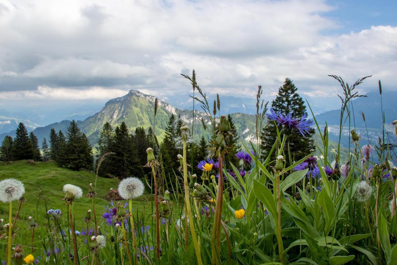 Rigi-Burggeist Alpine Guesthouse Герзау Екстер'єр фото