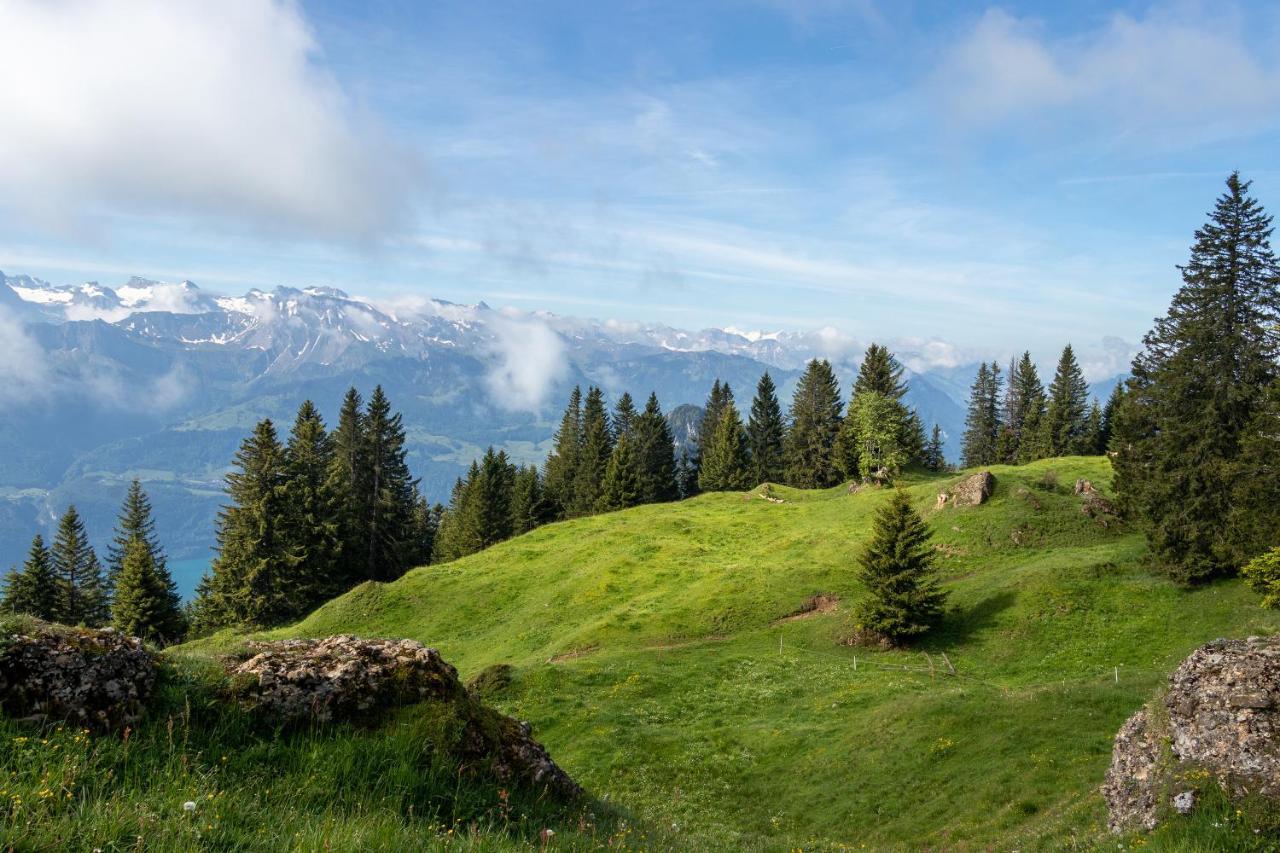 Rigi-Burggeist Alpine Guesthouse Герзау Екстер'єр фото