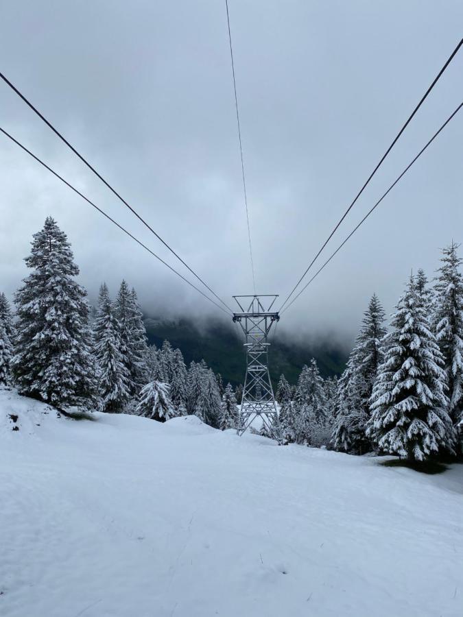 Rigi-Burggeist Alpine Guesthouse Герзау Екстер'єр фото