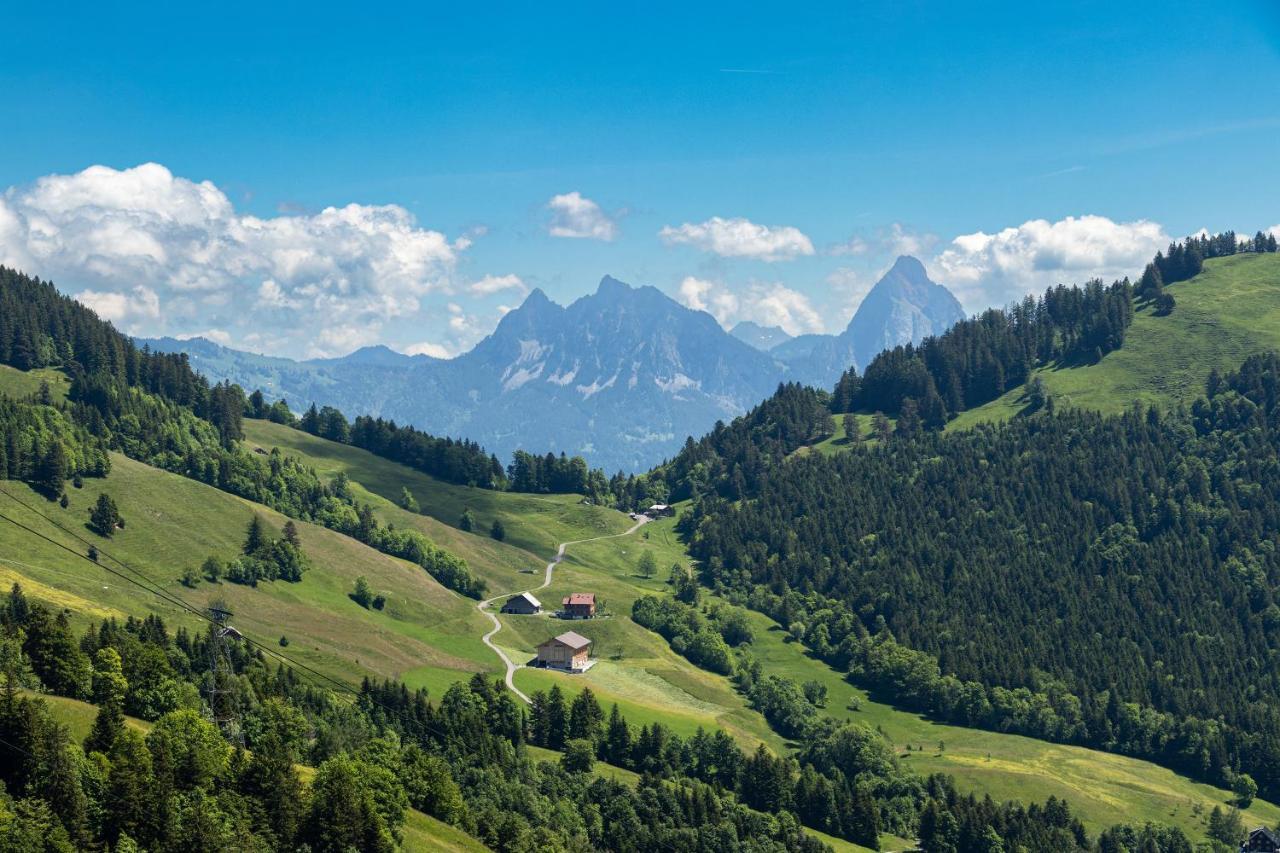Rigi-Burggeist Alpine Guesthouse Герзау Екстер'єр фото
