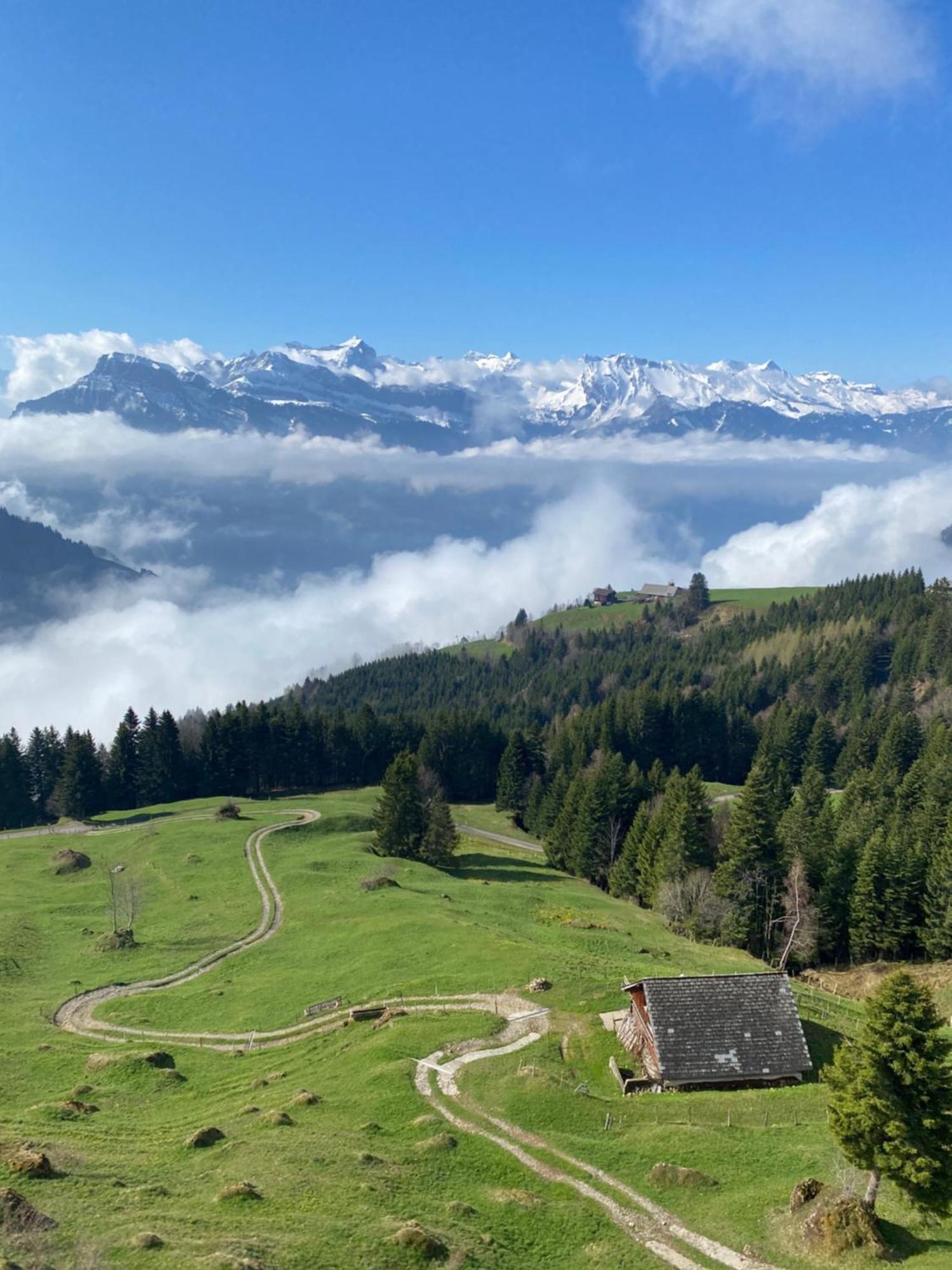 Rigi-Burggeist Alpine Guesthouse Герзау Екстер'єр фото